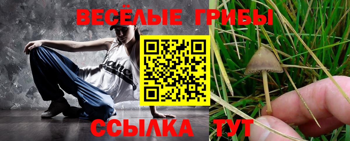 Аксай  Псилоцибиновые грибы Psilocybine cubensis  Вход с VPN  Псилоцибиновые грибы GOLDEN TEACHER 